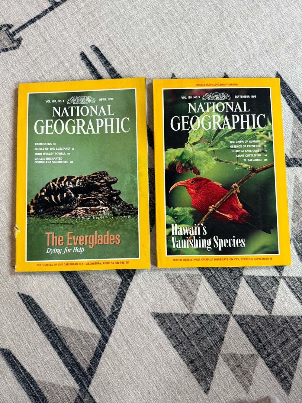 Vintage National Geographic Magazines (1994-1995) | Everglades & Hawaii
